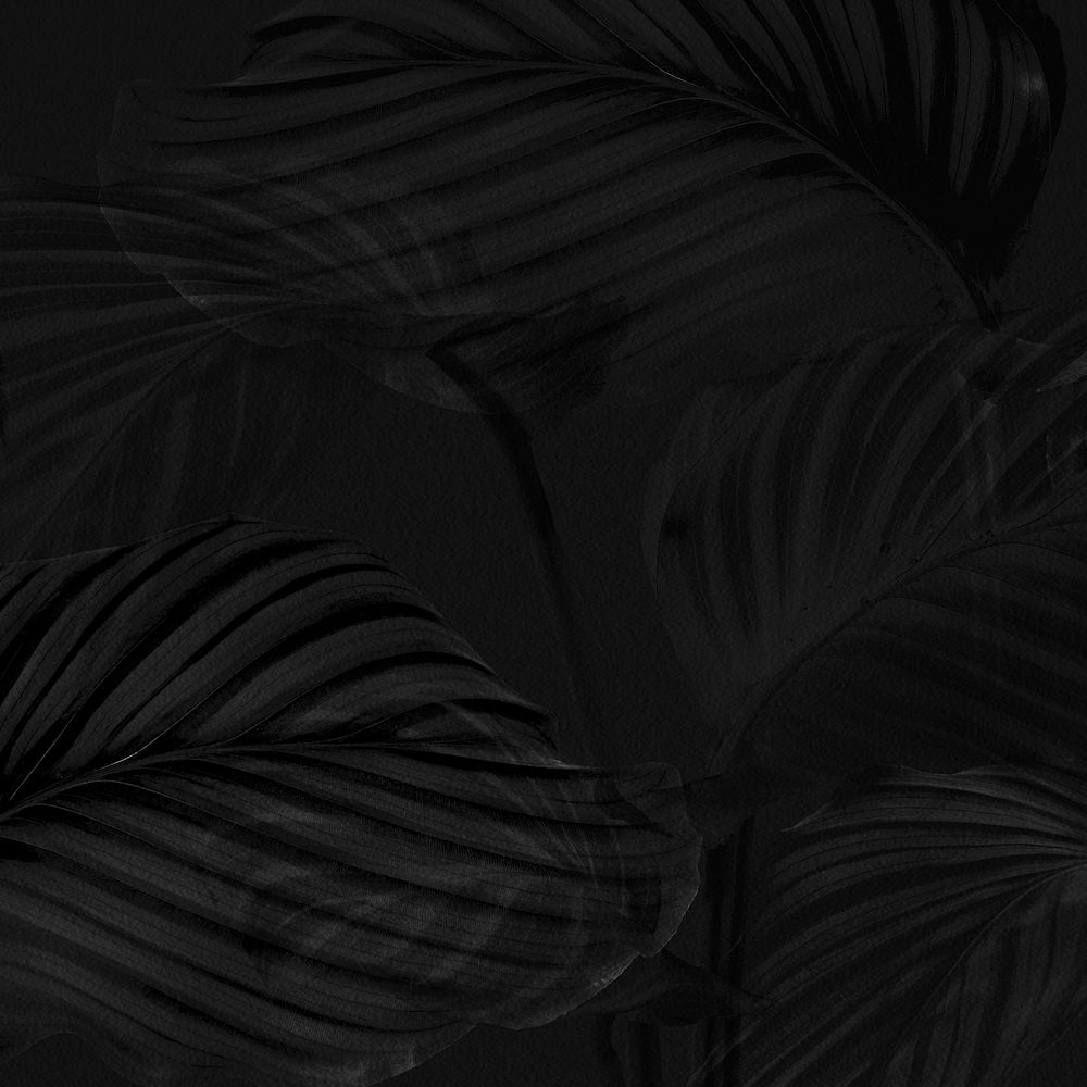 Dark calathea leaves background design resource 