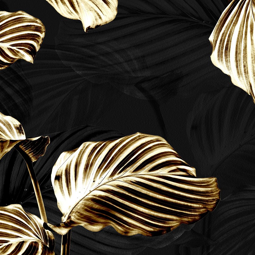 Shiny golden calathea leaves background 