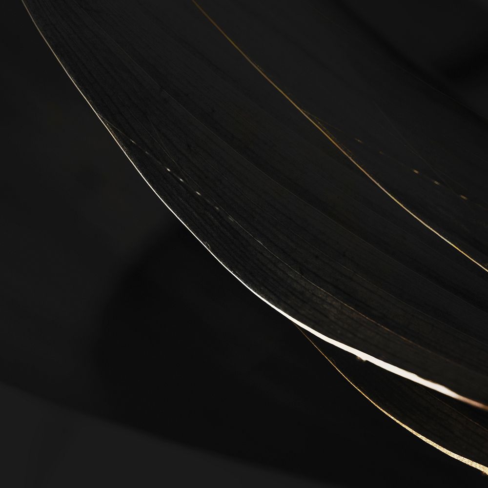 White and golden streaks on a black background