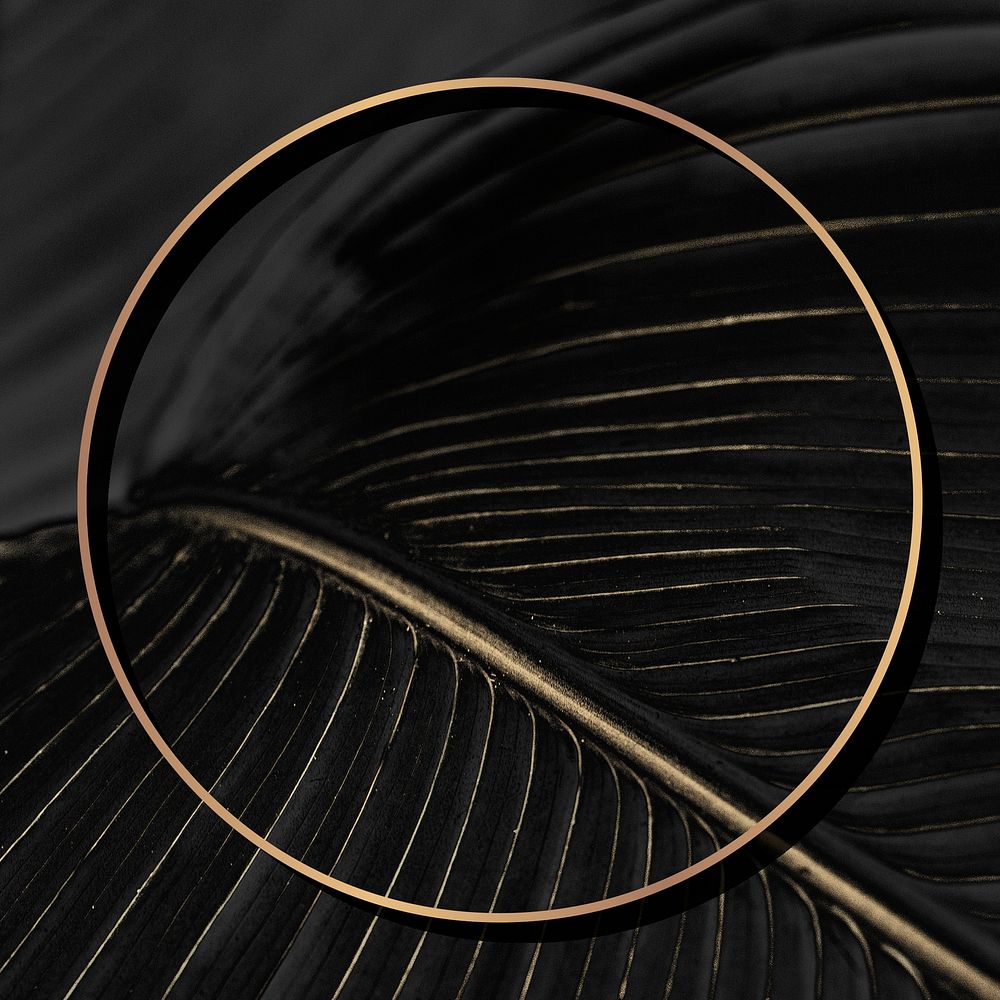 Golden round frame on a bird of paradise leaf background 