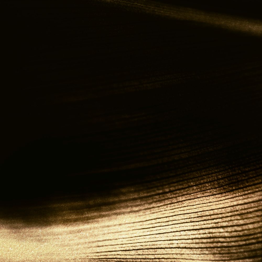 Golden Ti leaf textured background 