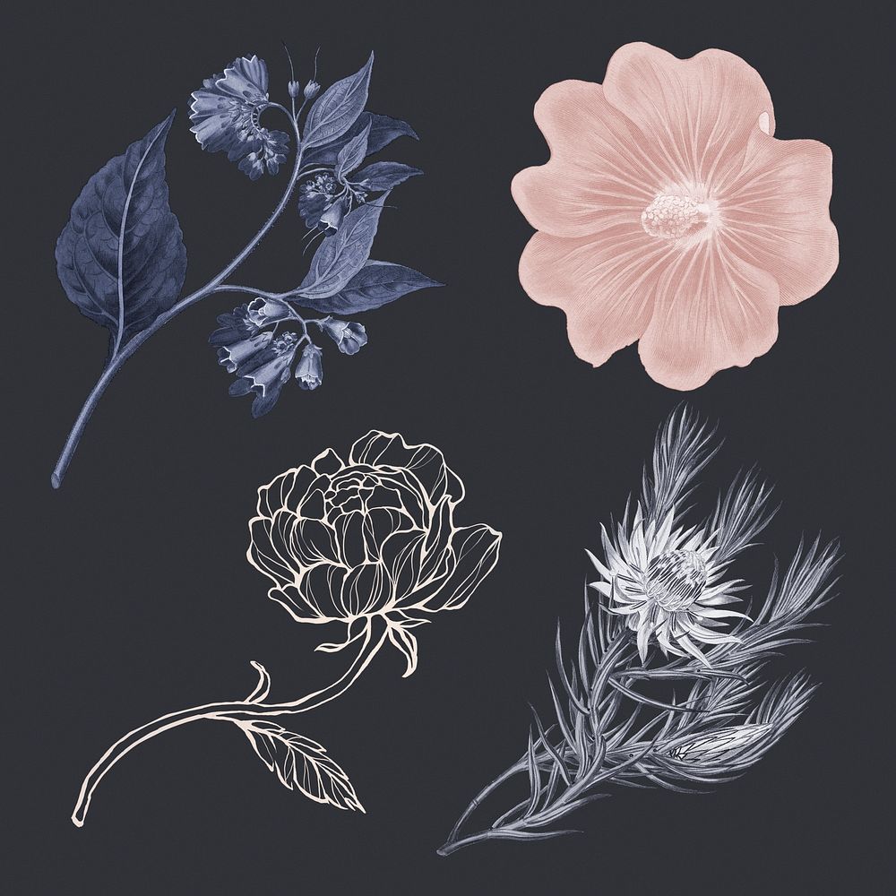 Hand drawn flower in vintage style design element set on a dark background