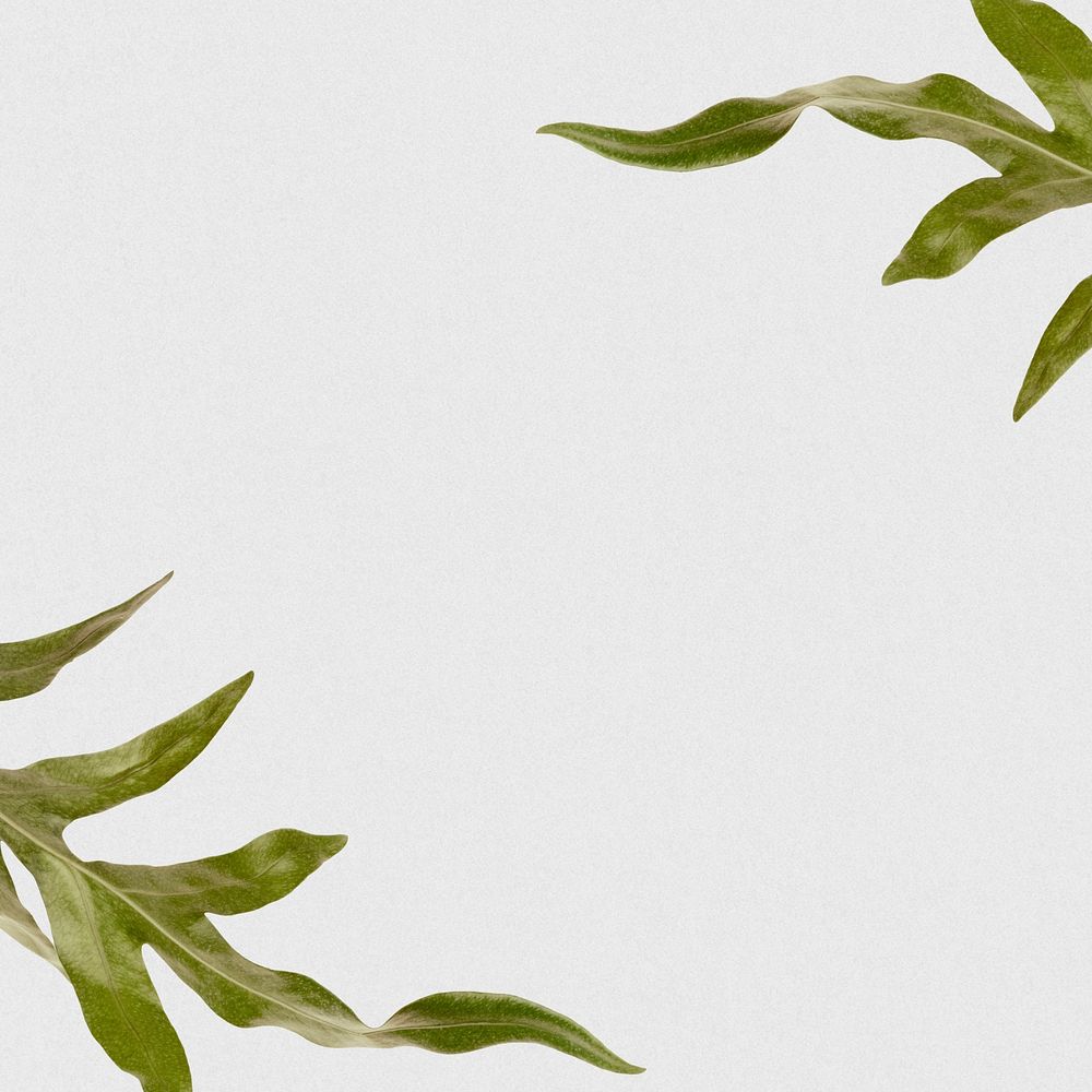Arrowhead fern leaf psd design space background