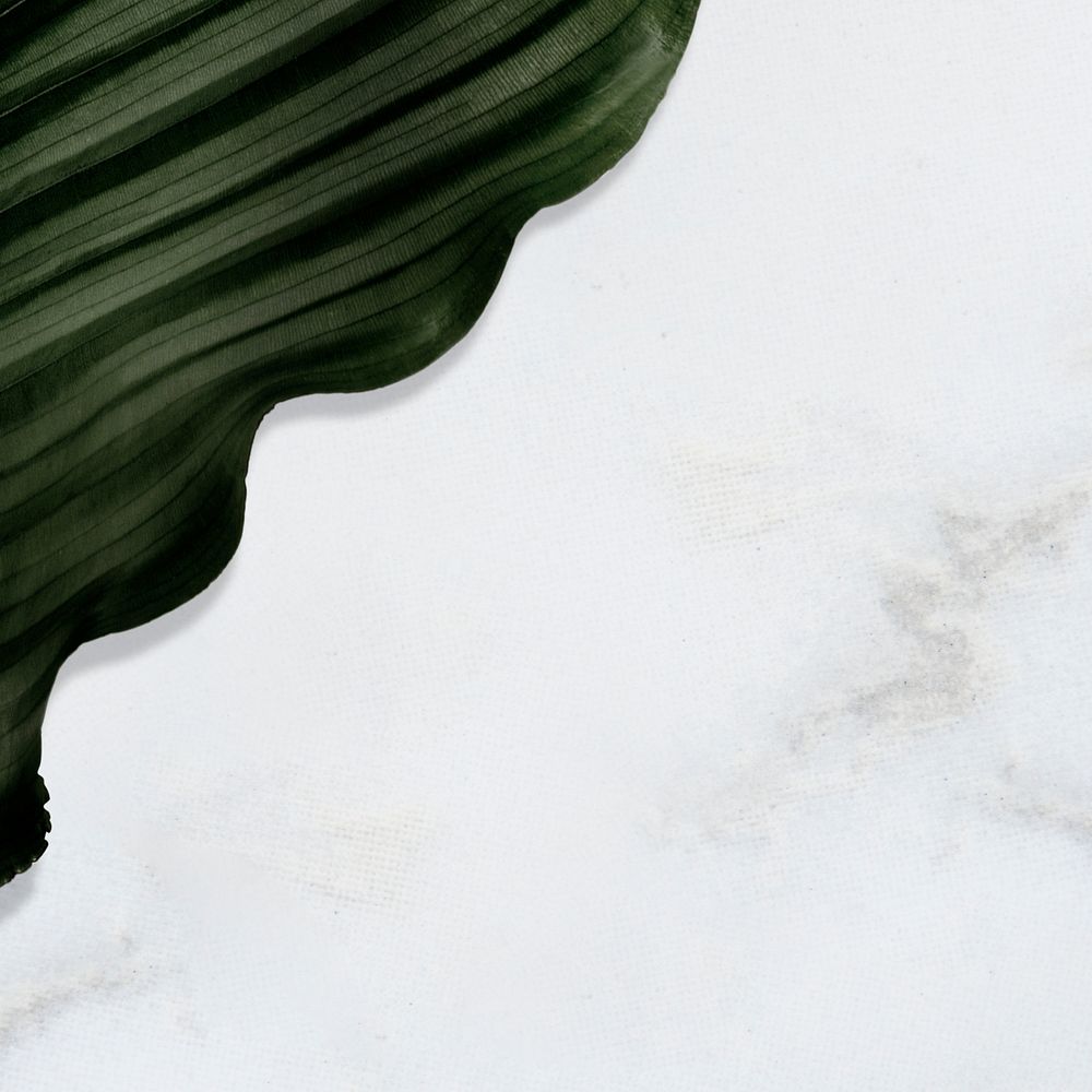 Green leaf on marble background