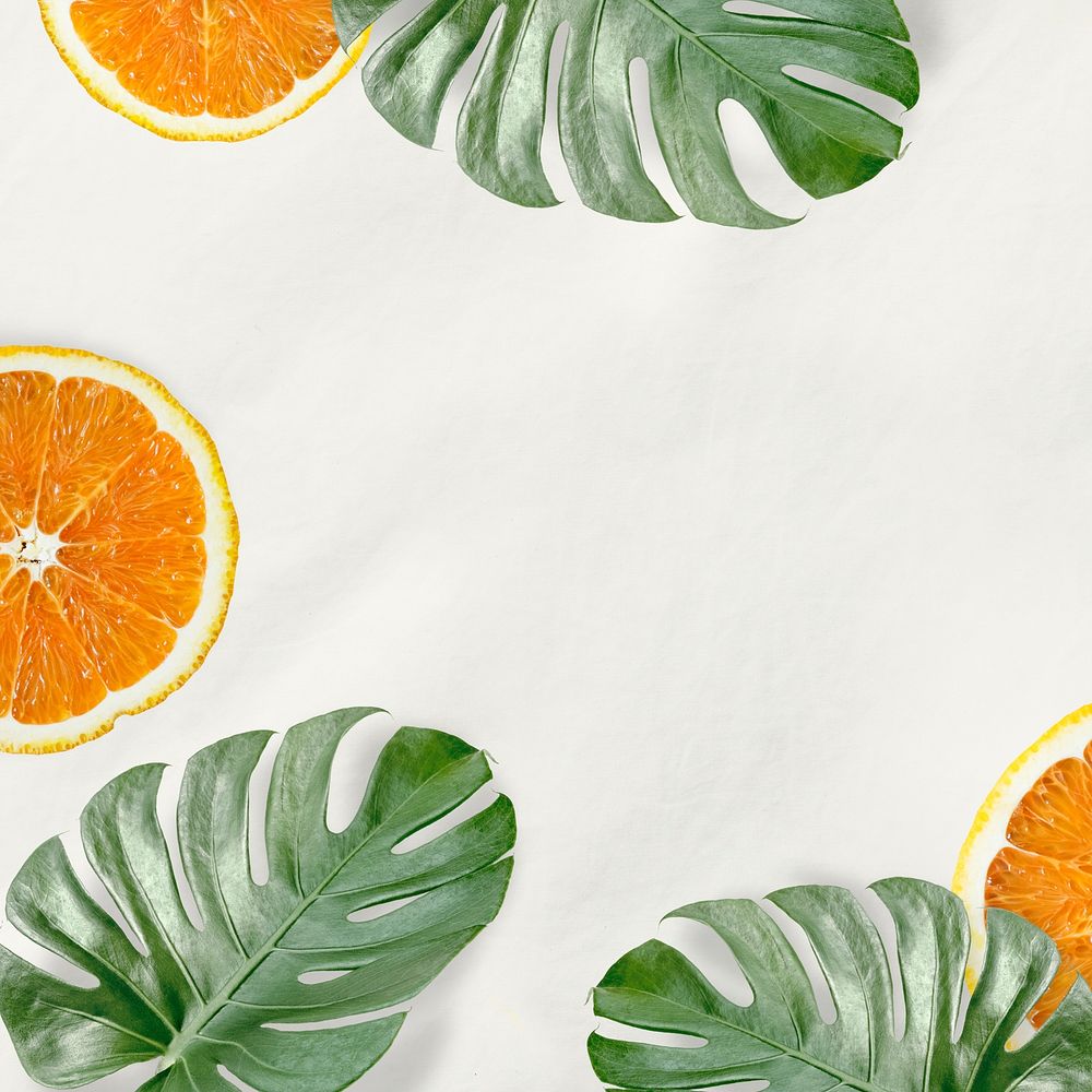 Green Monstera leaves and orange background