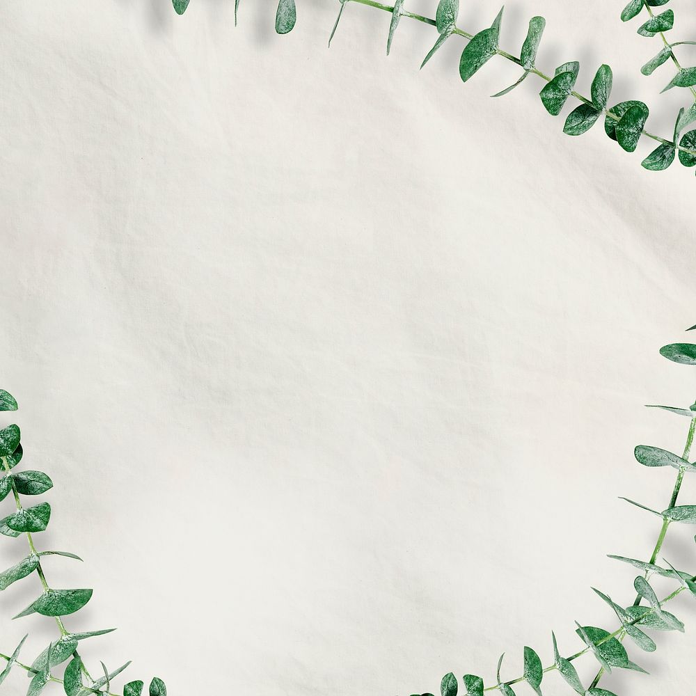 Botany eucalyptus frame on a white background 
