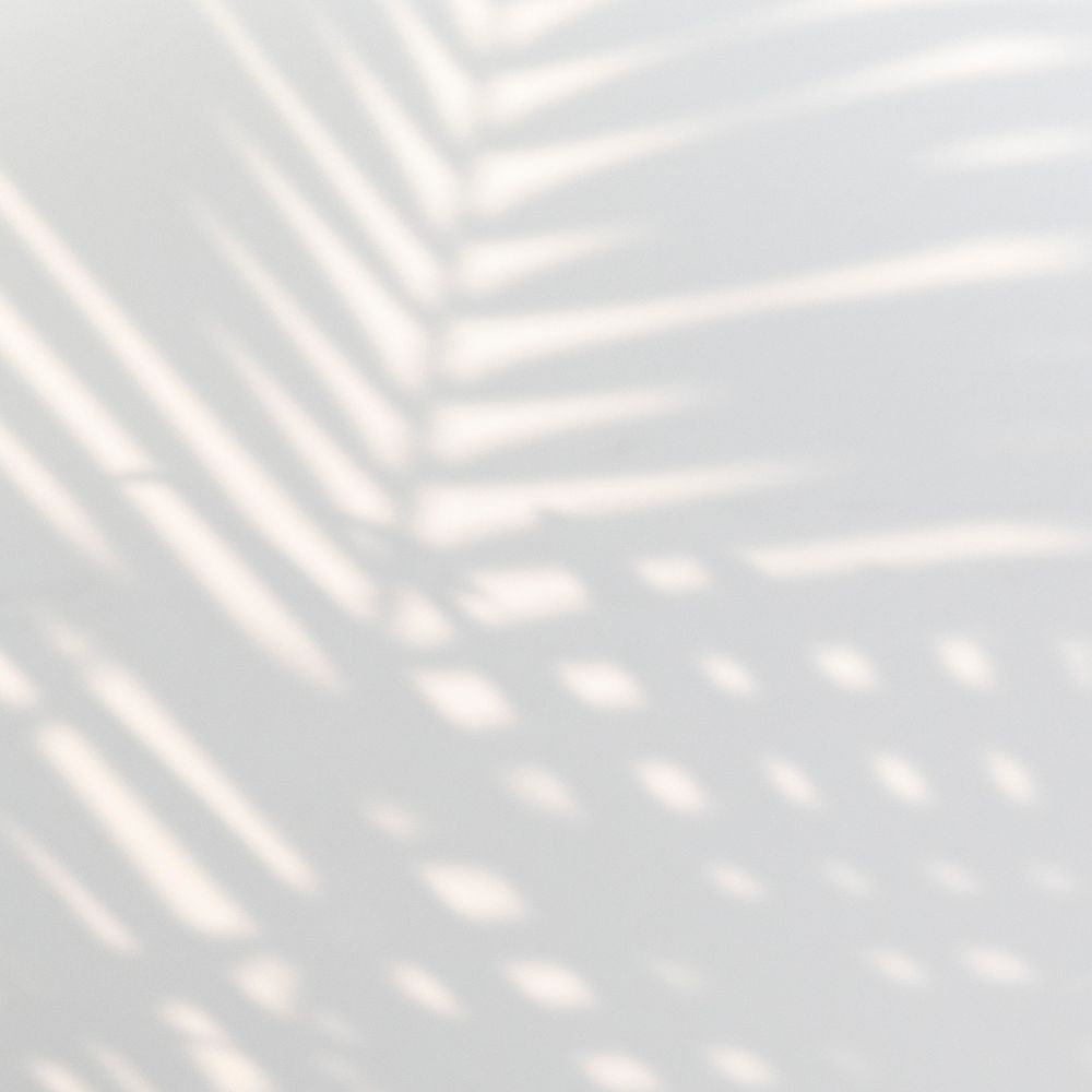 Tropical palm leaves shadow on a white wall 