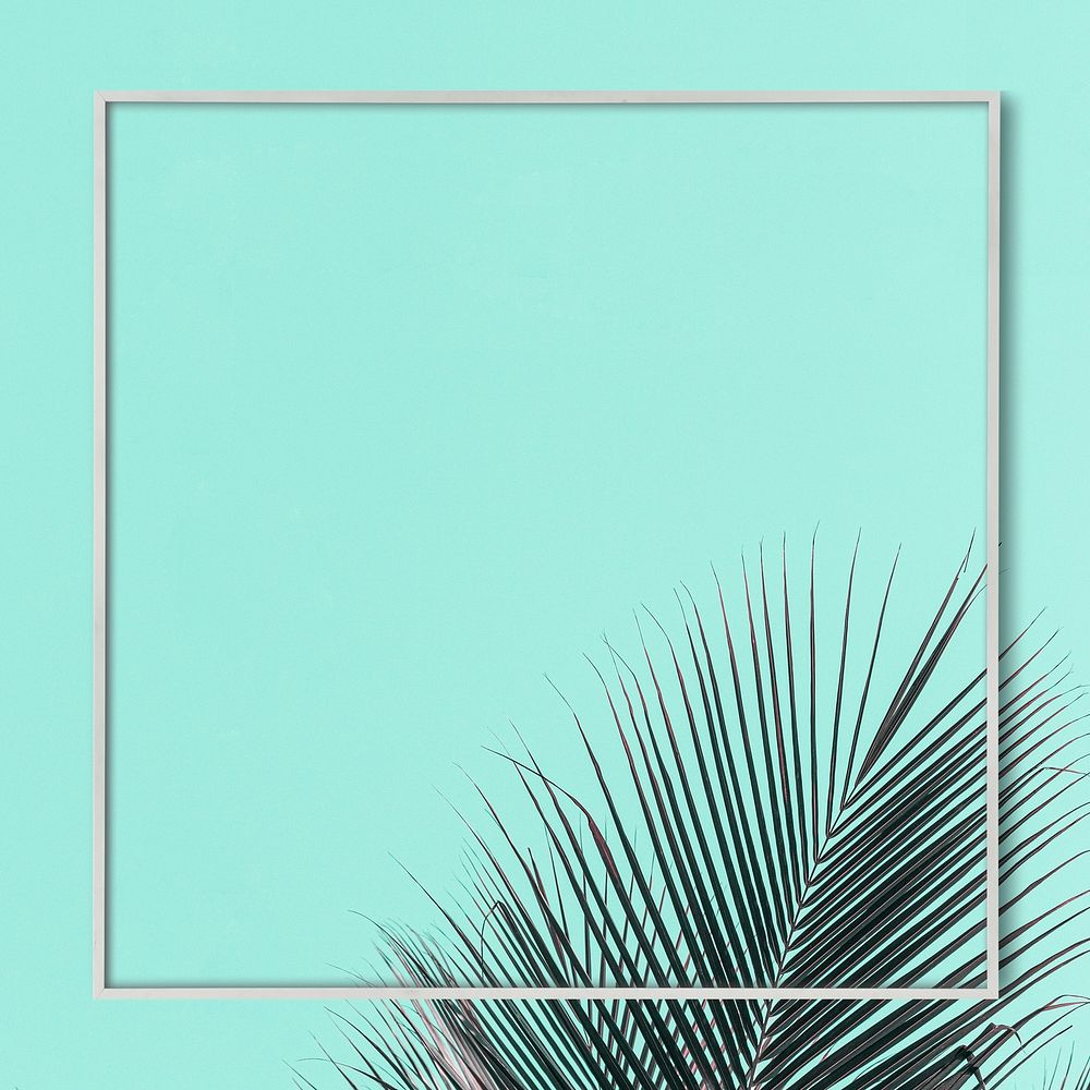 Palm leaf frame on a turquoise background 