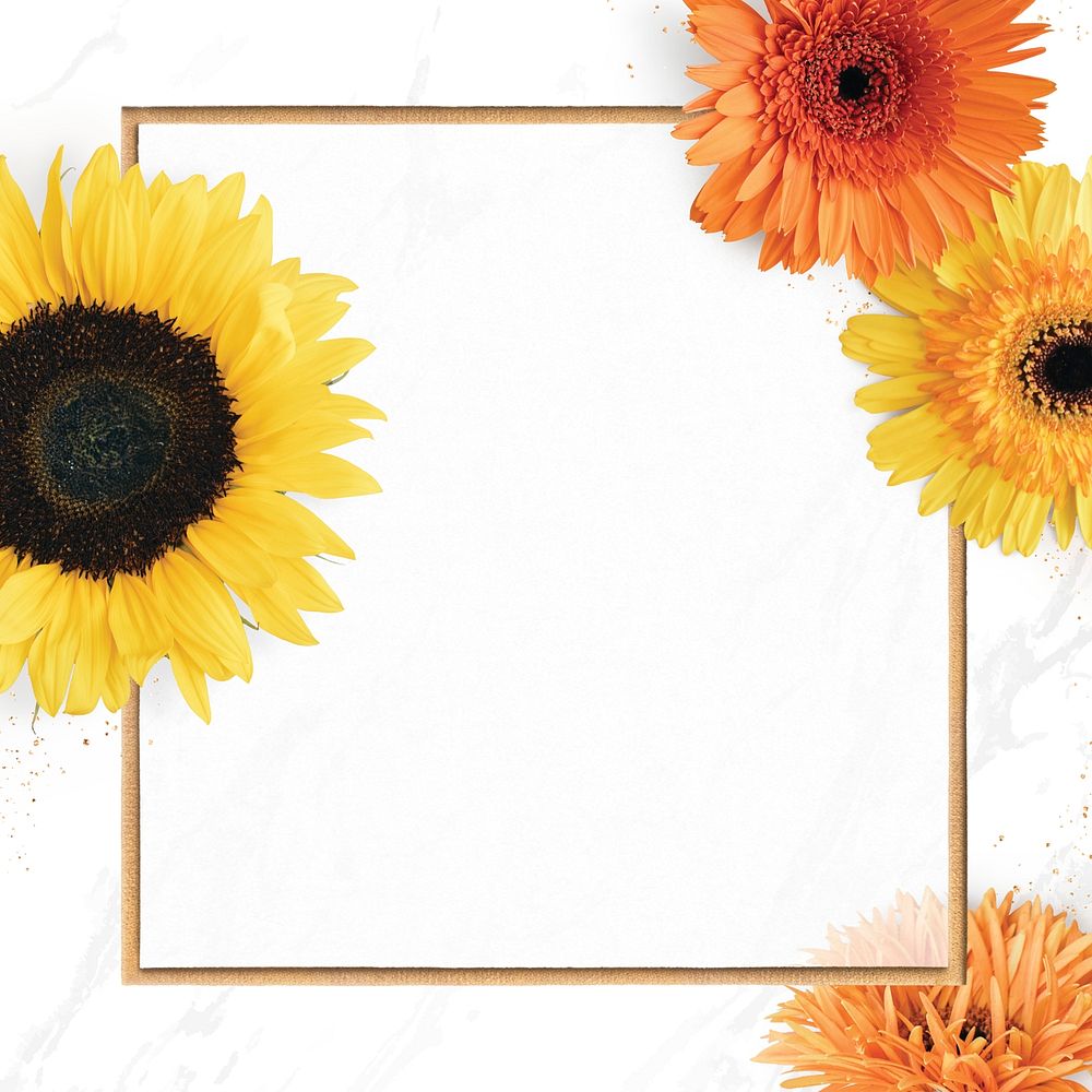 Gold square blooming sunflower frame