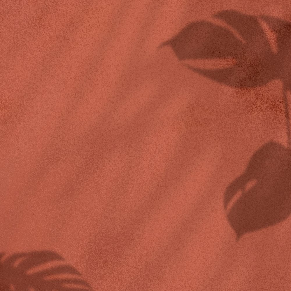 Monstera leaves shadow on brown background