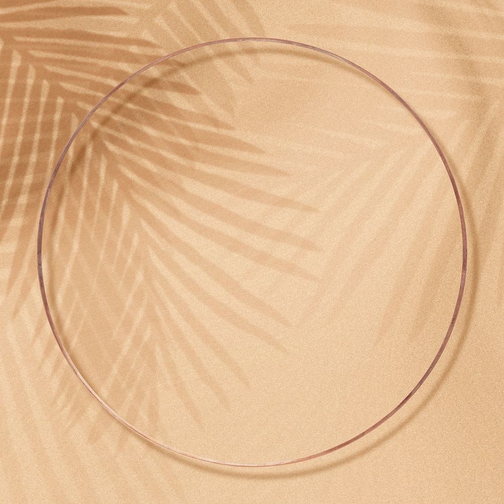Round frame on a palm leaves tropical background 