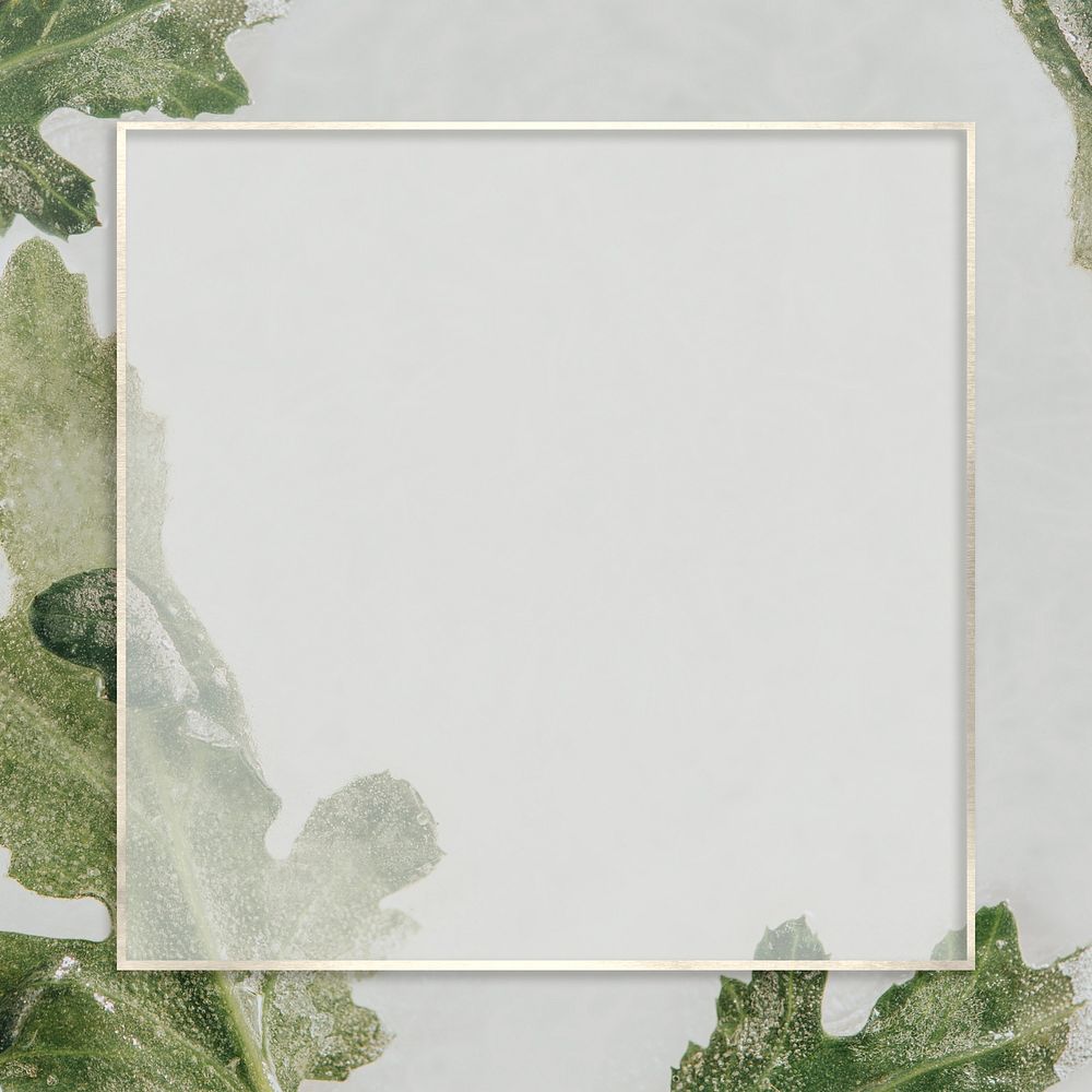 Silver frame psd leafy background