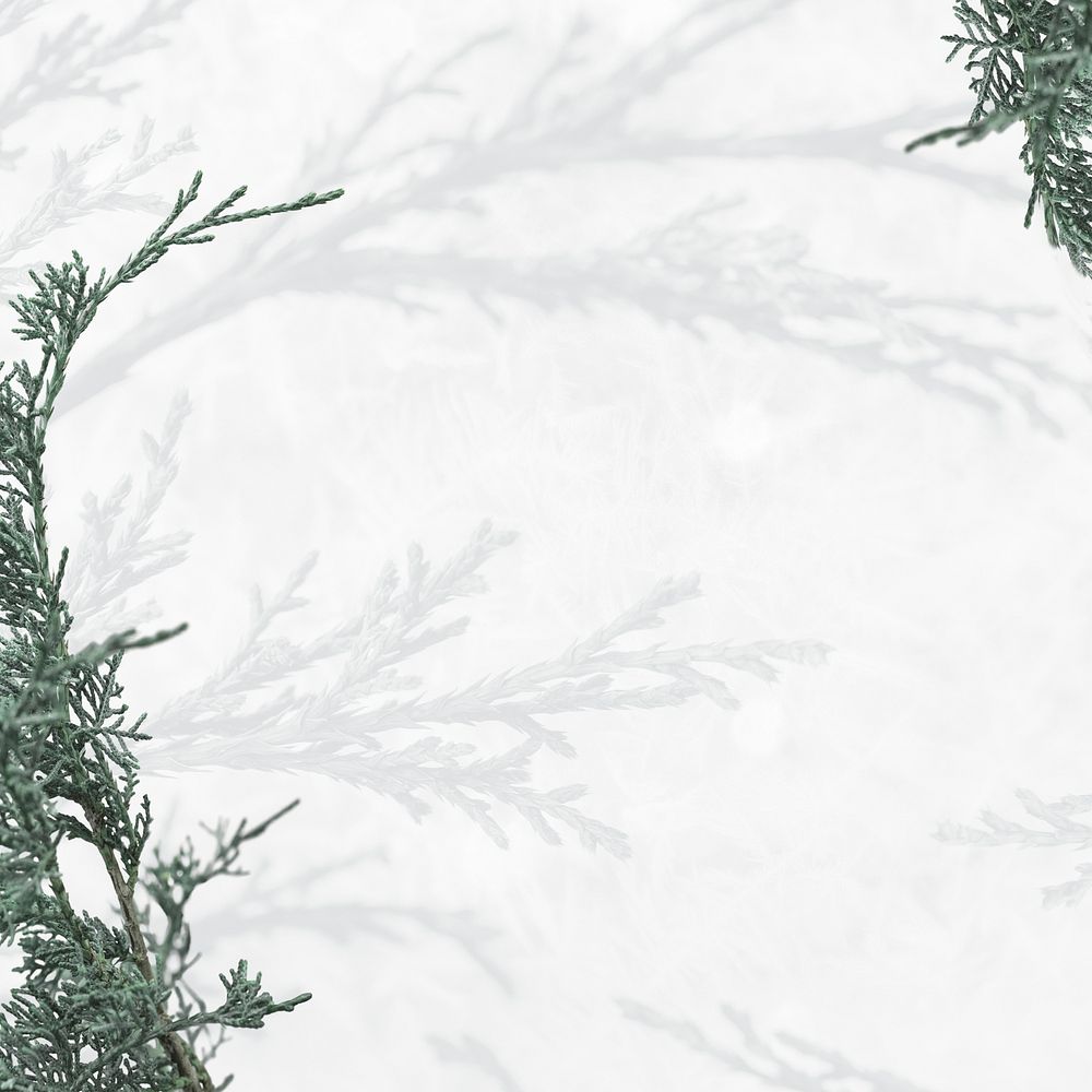 Wintery Christmas pine psd background