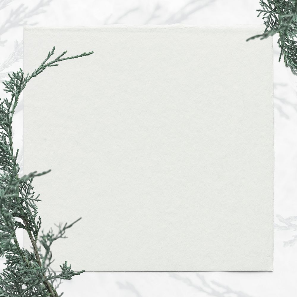 Christmas pine tree psd white frame gray background