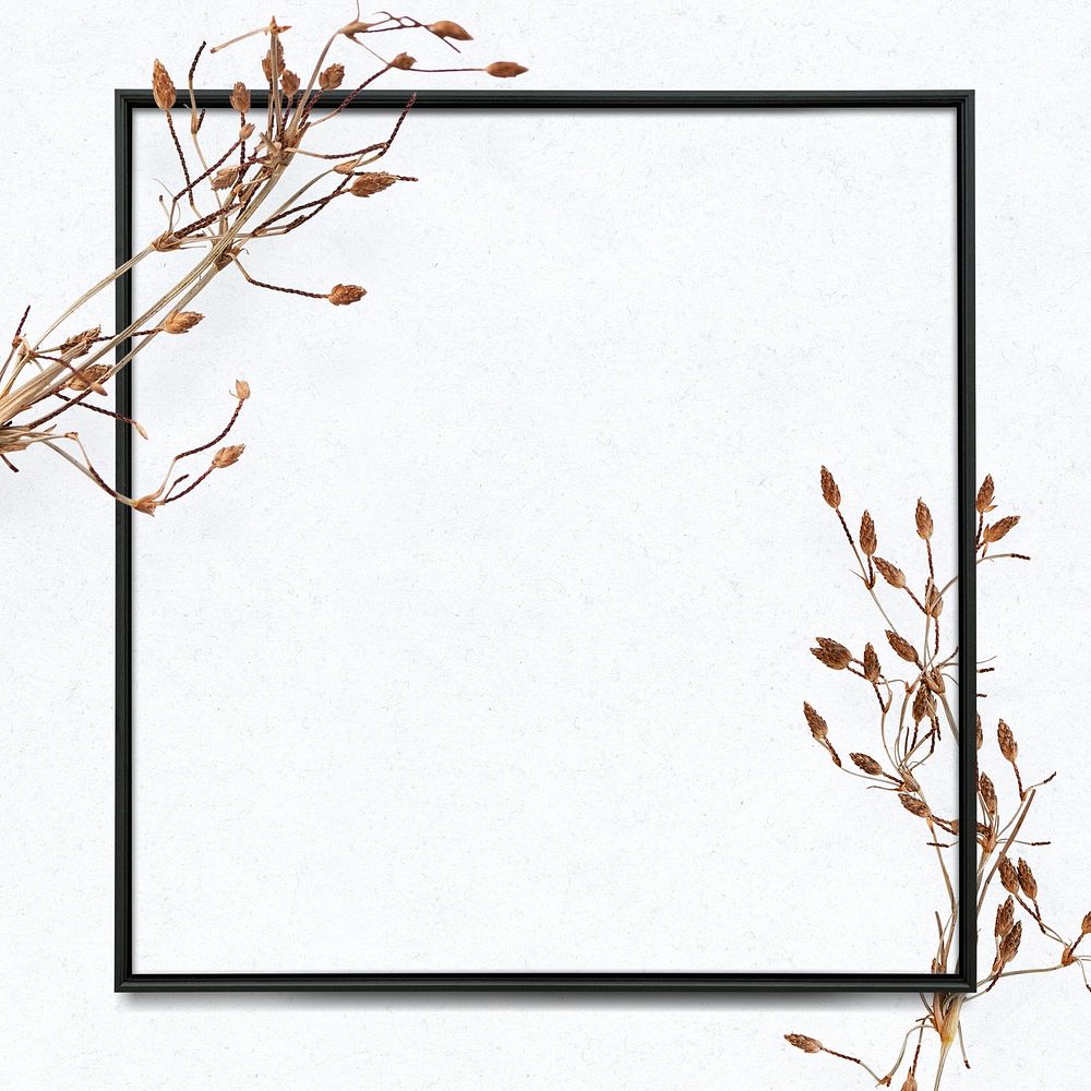 Minimal leaf frame with design space