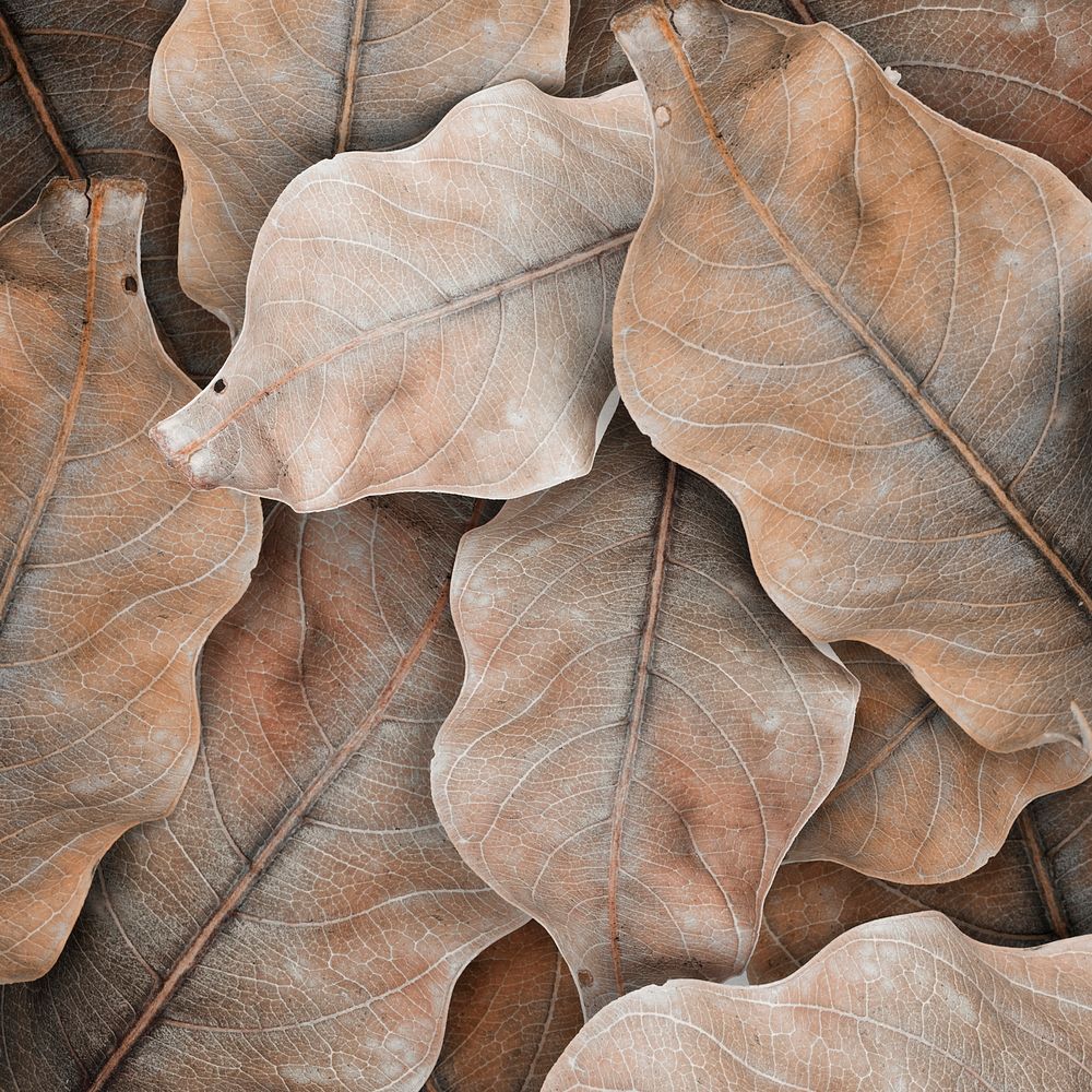 Beige leaf patterned background design space