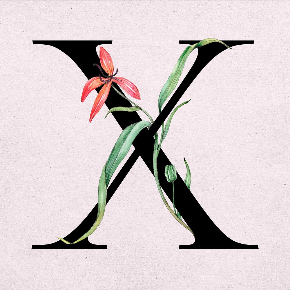 Font x vintage letter floral typography