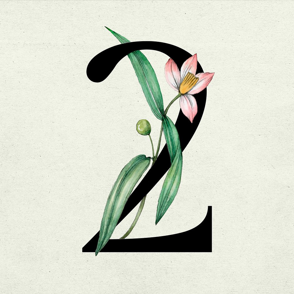 Number 2 font botanical decorated typography