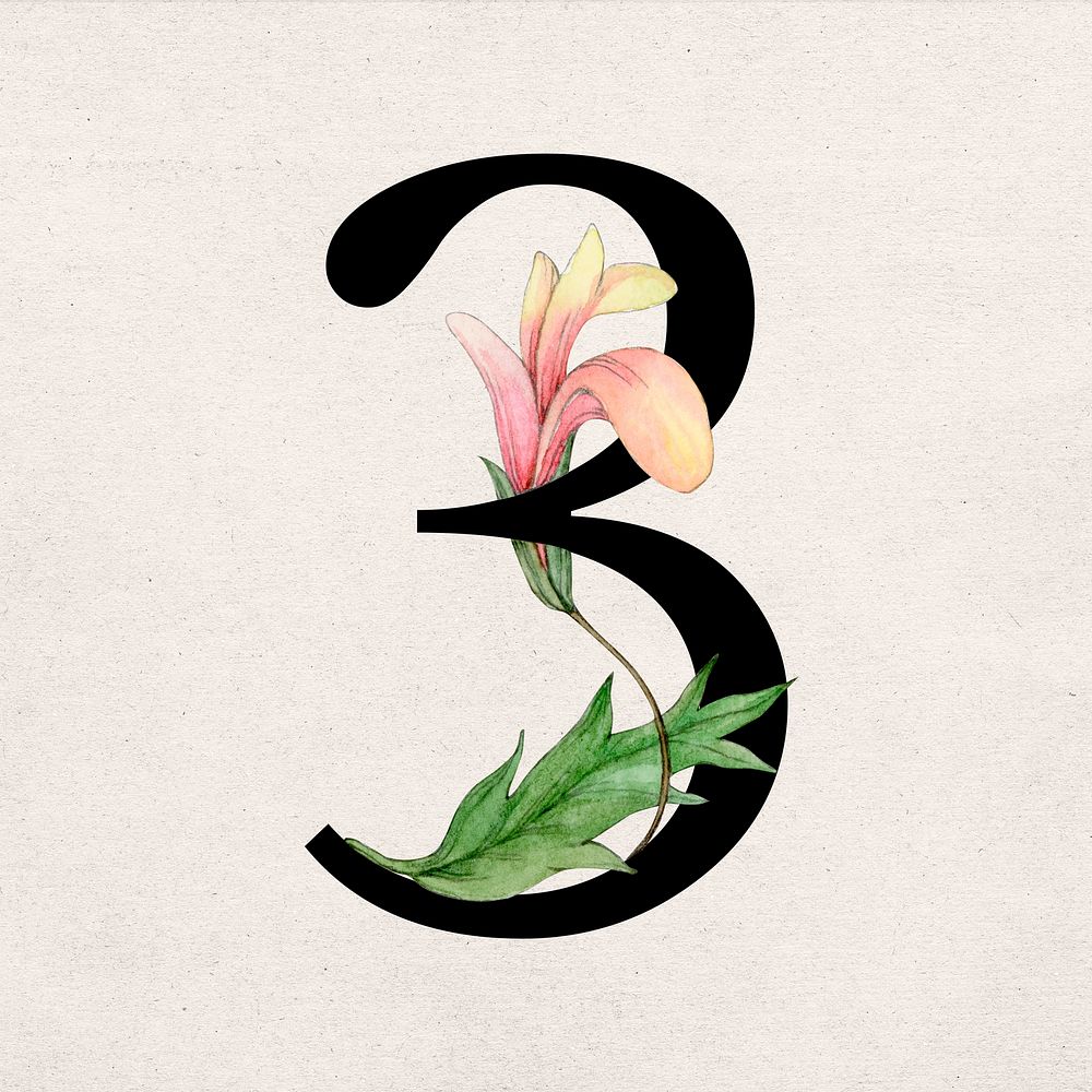 Psd number 3 font floral decorated typography