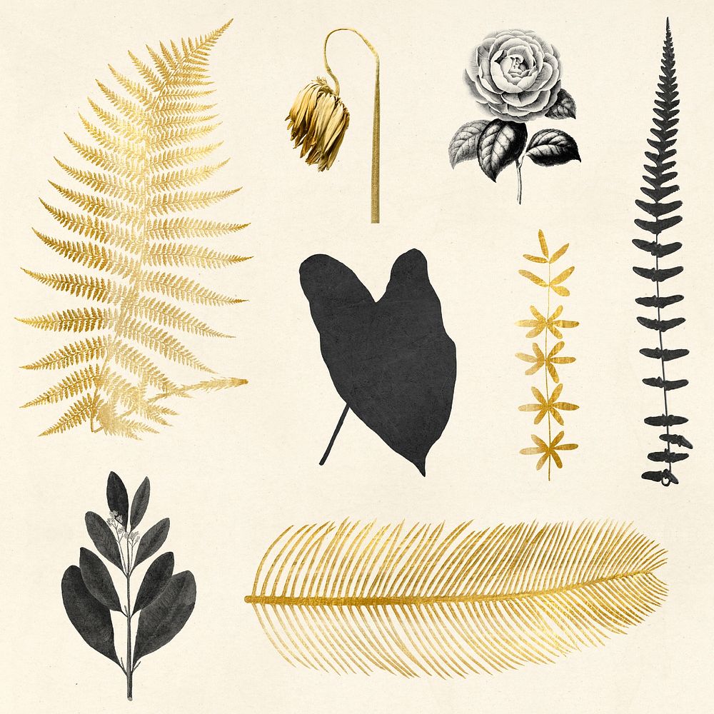 Psd black gold leaf flower metallic vintage sticker set