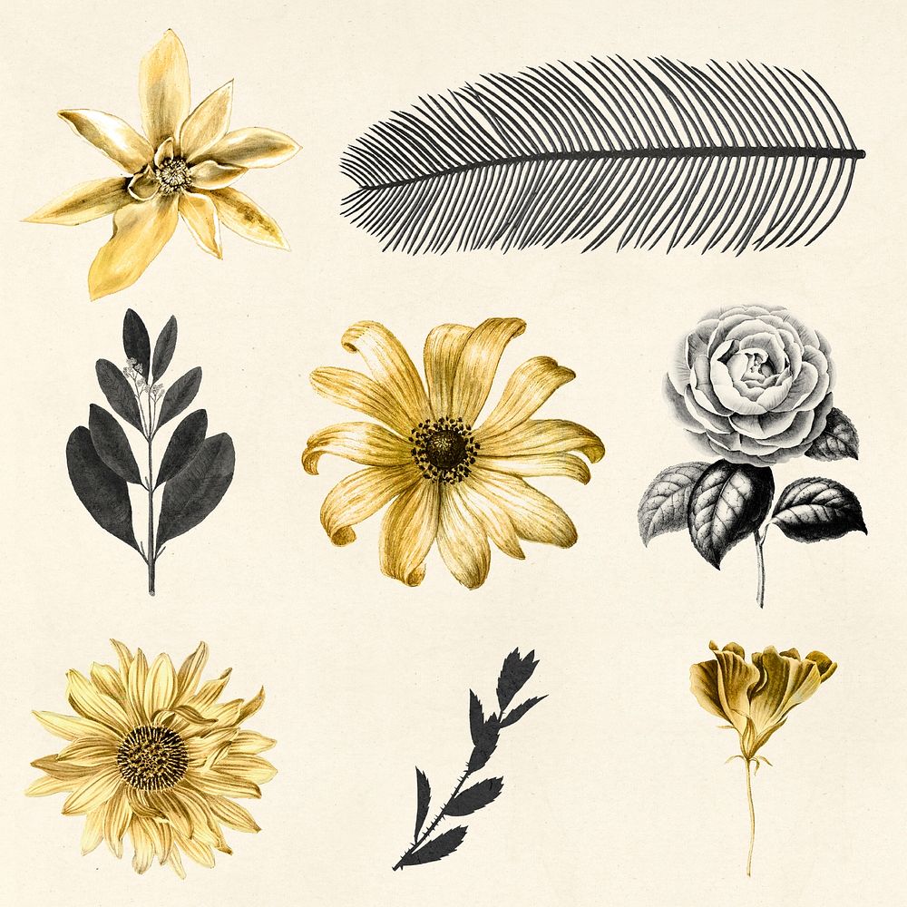 Vintage psd leaf and flowers golden black botanical sticker collection