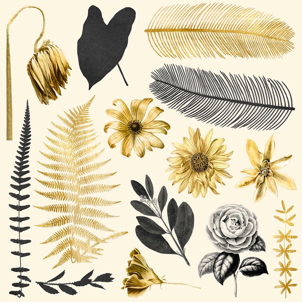 Flowers and leaf vector black gold hand drawn botanical sticker set