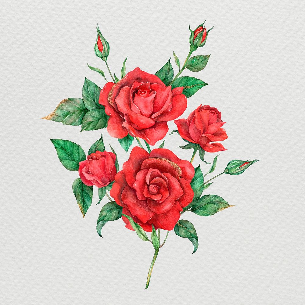 Hand drawn psd red rose flower