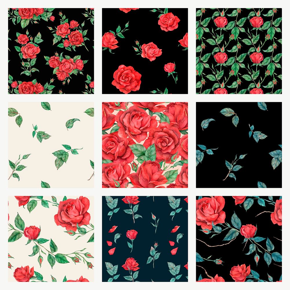 Blooming rose seamless pattern background vector set