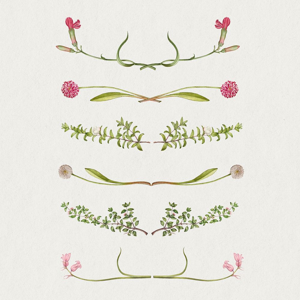 Pink floral dividers, remix from The Model Book of Calligraphy Joris Hoefnagel and Georg Bocskay