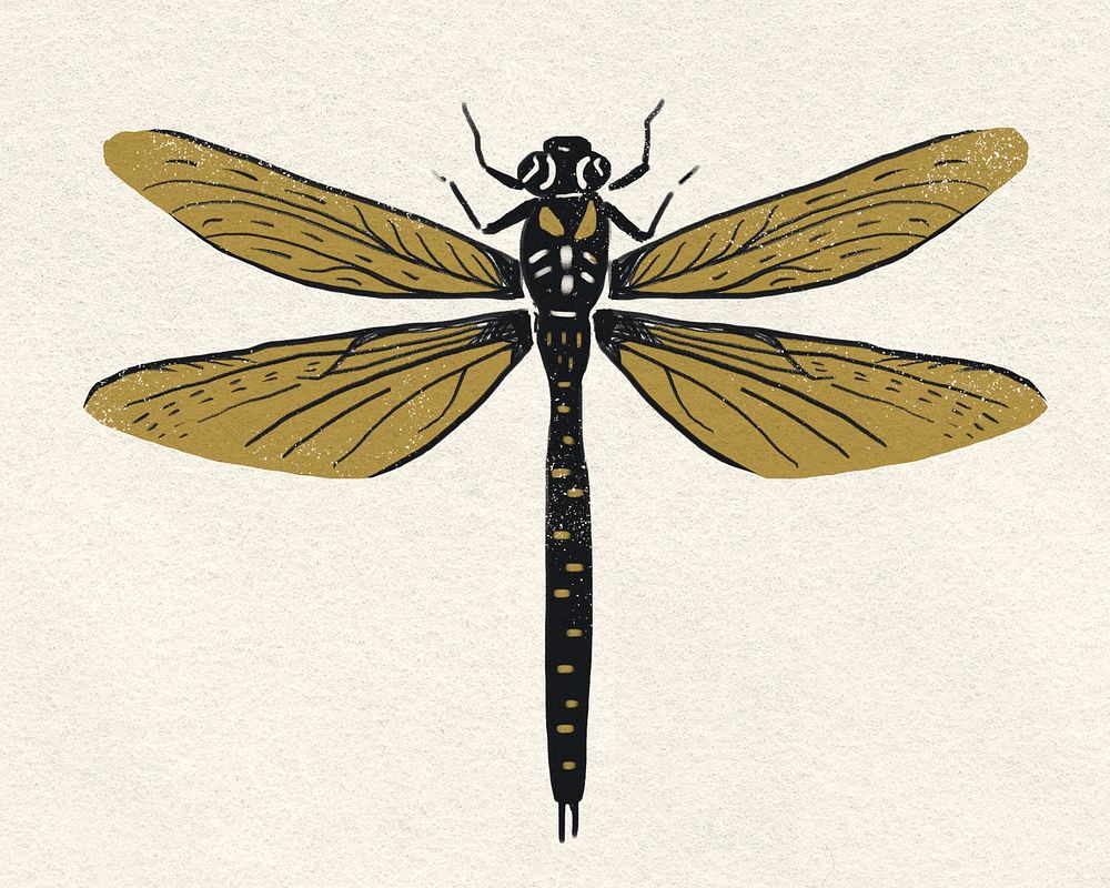 Vintage dragonfly stencil pattern psd drawing
