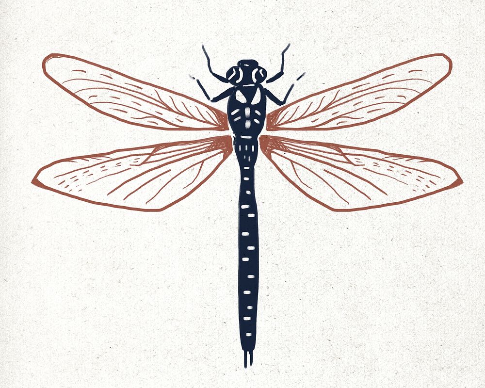 Vintage dragonfly linocut hand drawn illustration