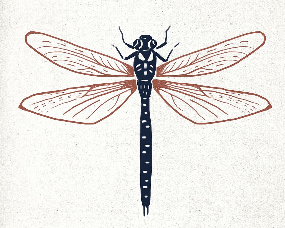 Vintage dragonfly linocut psd illustration
