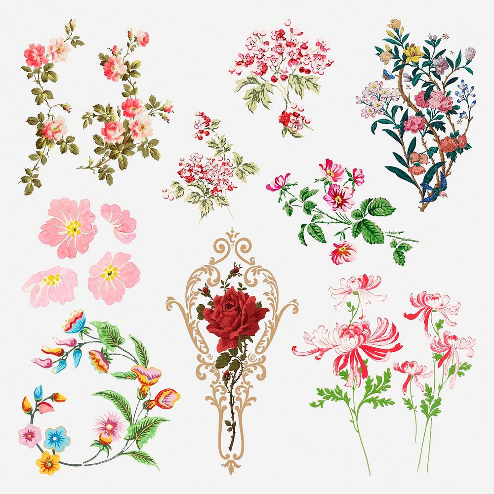 Colorful flowers vintage illustration collection