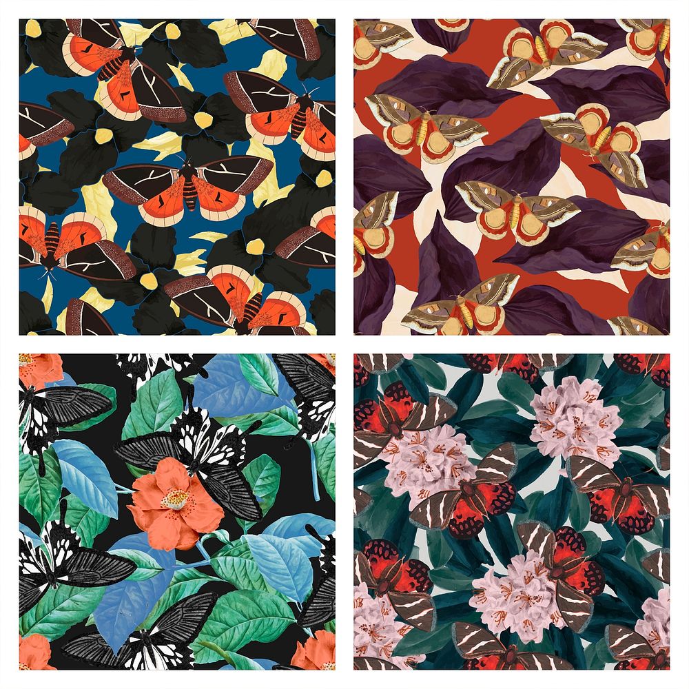 Seamless butterfly floral psd pattern set, vintage remix from The Naturalist's Miscellany by George Shaw