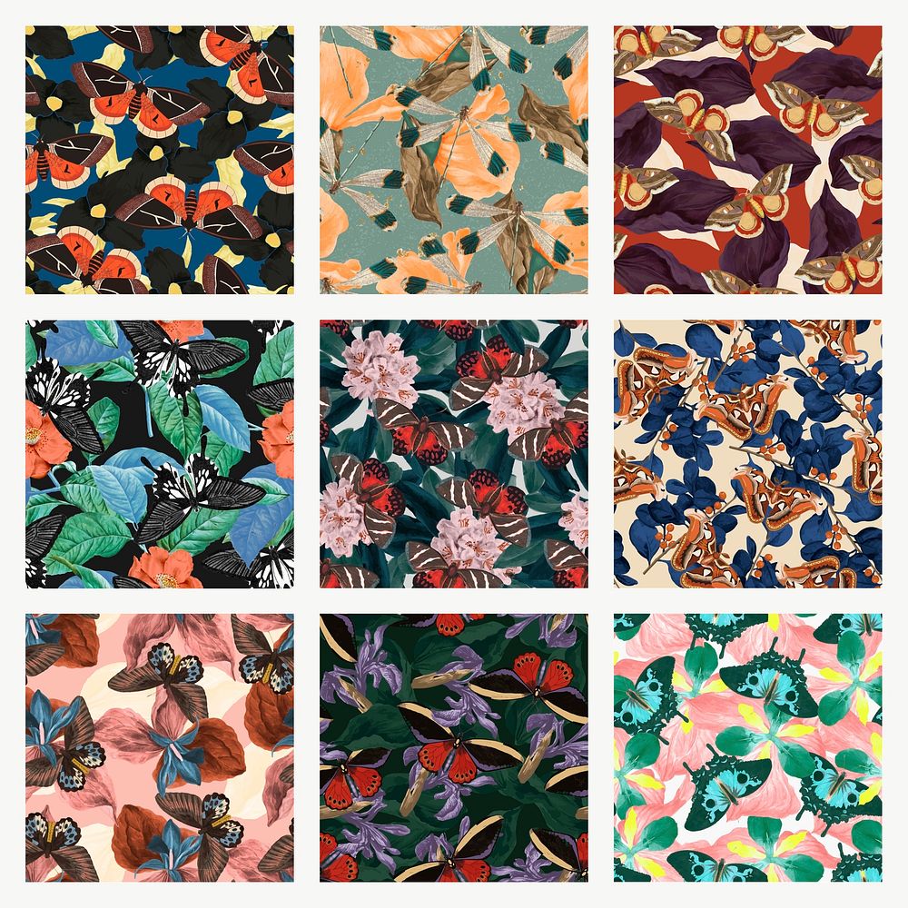 Seamless butterfly floral vector pattern set, vintage remix from The Naturalist's Miscellany by George Shaw