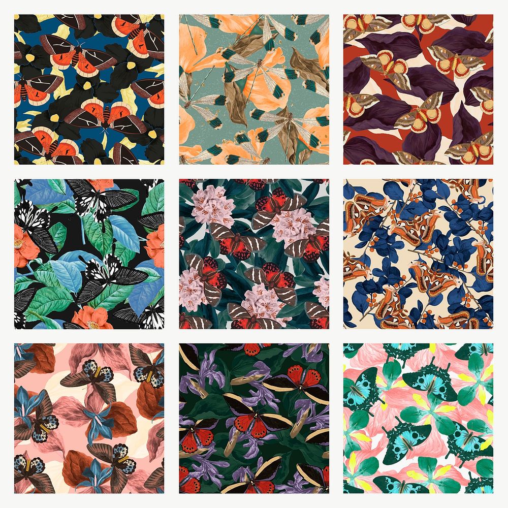 Seamless butterfly floral psd pattern set, vintage remix from The Naturalist's Miscellany by George Shaw
