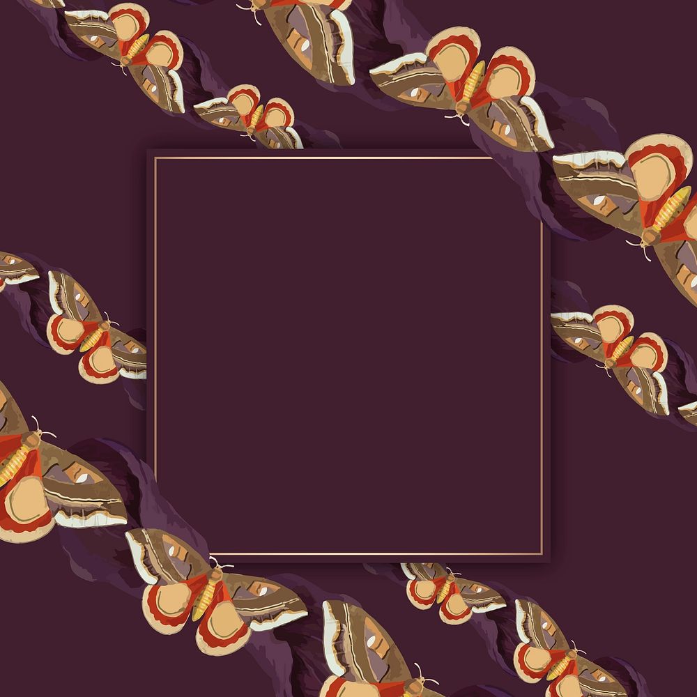 Vintage butterfly pattern psd frame, remix from The Naturalist's Miscellany by George Shaw