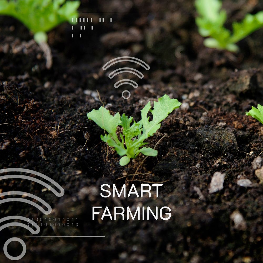 Internet of farms vector editable agricultural technology social media template