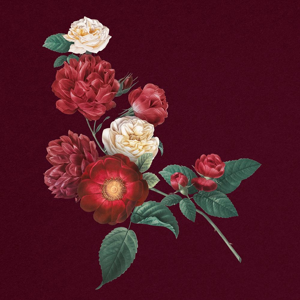 Vintage red garden roses bouquet hand drawn illustration