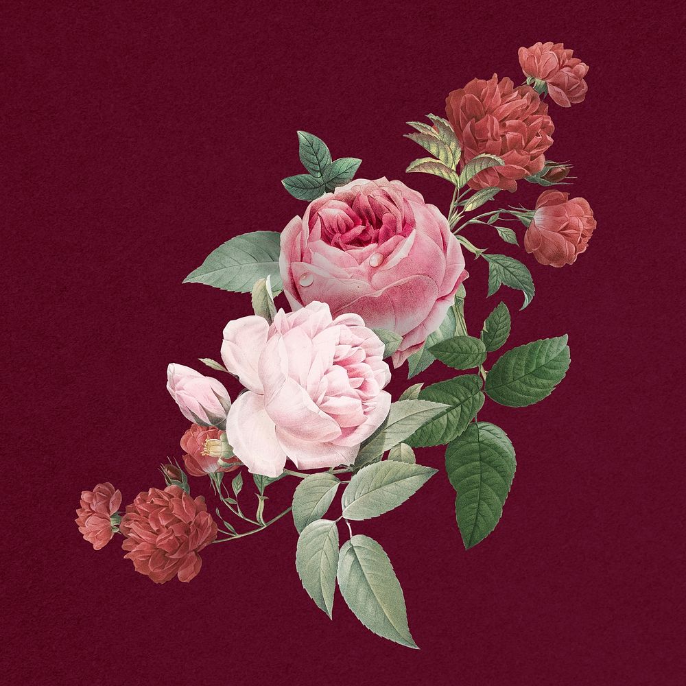 Elegant psd pink roses flowers bouquet illustration
