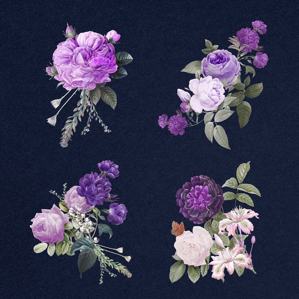 Elegant flower purple roses psd watercolor illustration set