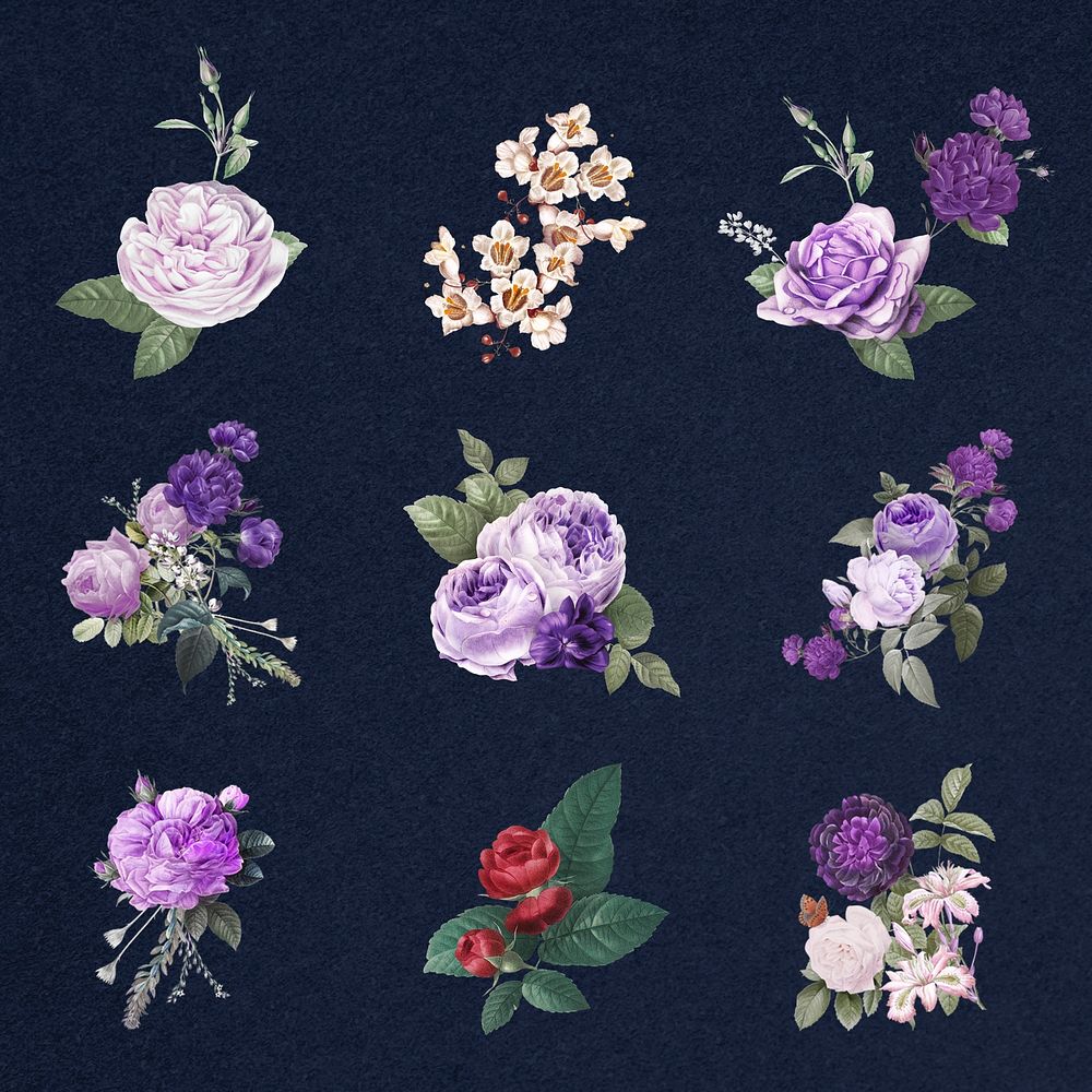 Elegant purple spring roses psd hand drawn illustration set