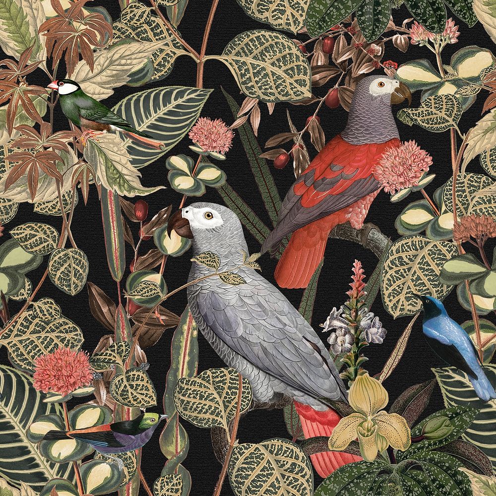 Jungle bird background seamless pattern illustration