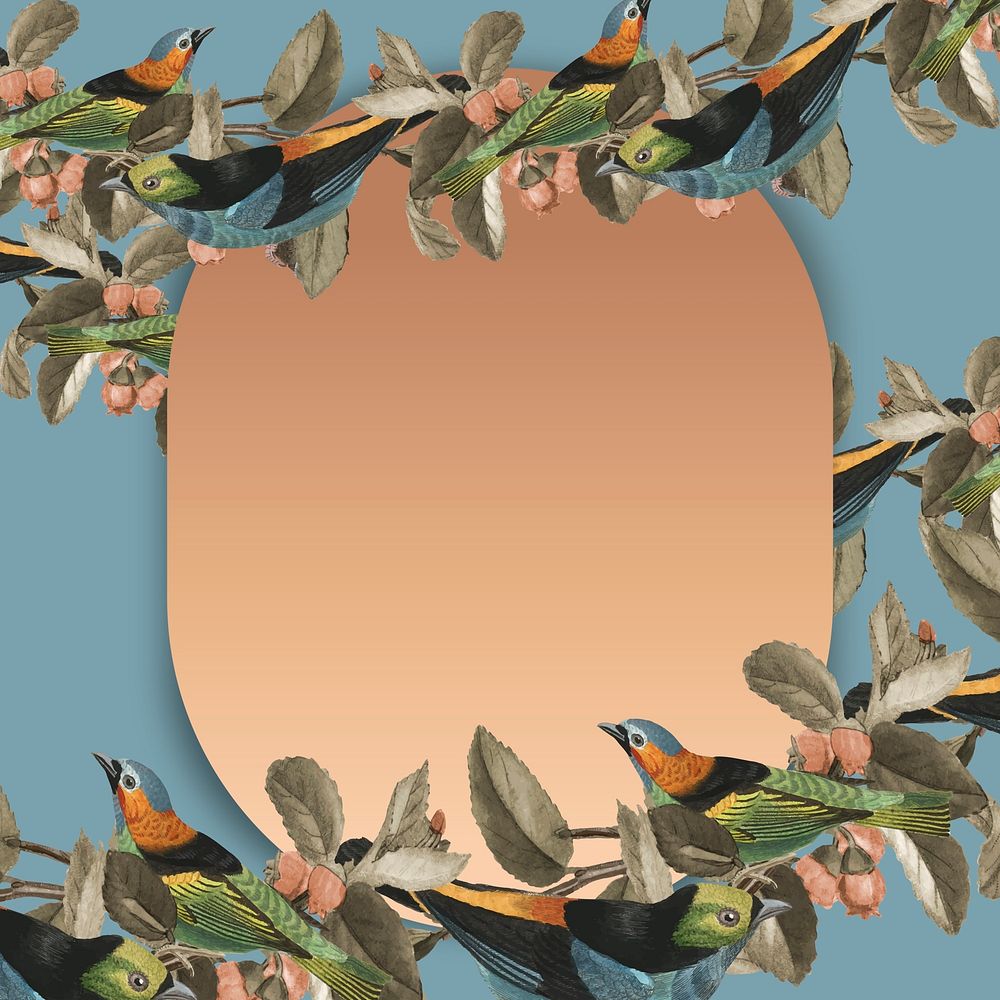 Bird pattern border gold frame with design space illustration