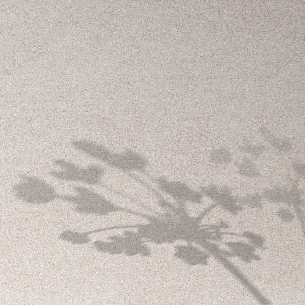 Background psd with shadow of a floral branch