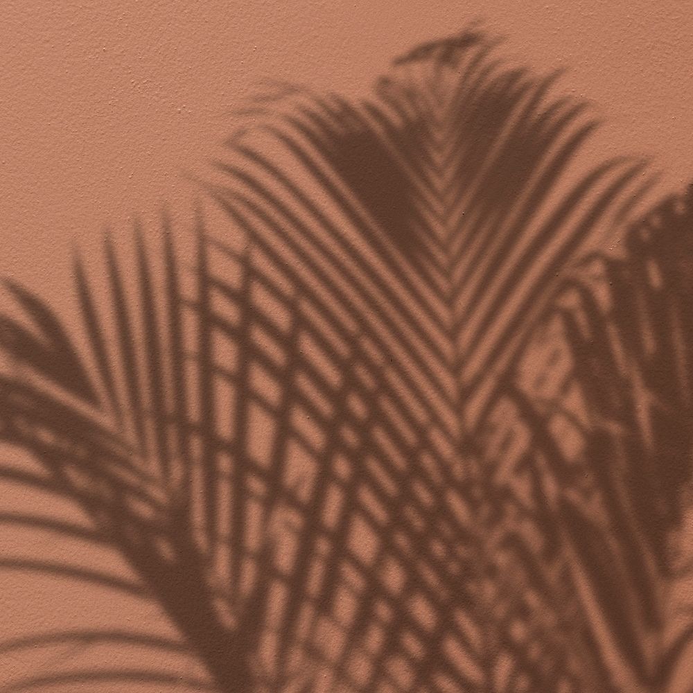 Background psd with shadow of a palm tree