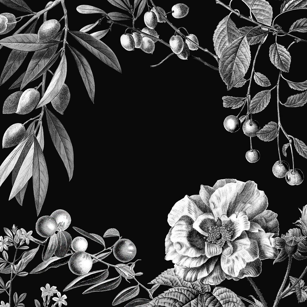 Rose frame psd vintage botanical illustration and fruits on black background