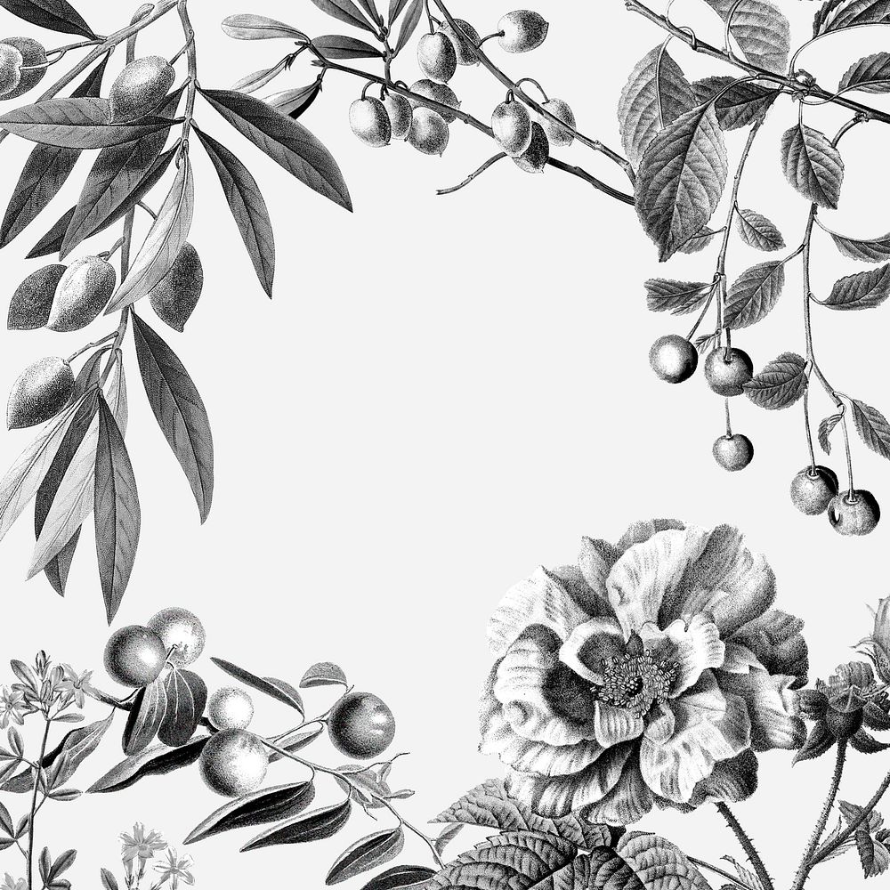 Rose frame vintage floral psd illustration and fruits on white background