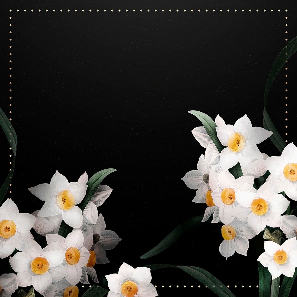 Daffodil border frame vector on black background