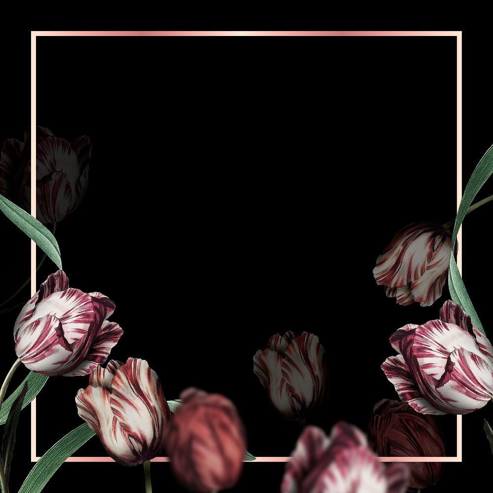 Tulip border frame psd on black background